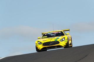 #999	Mercedes-AMG Team GruppeM Racing	Mercedes-AMG GT3	Maxi Buhk	Raffaele Marciello	Maxi Götz	Mercedes-AMG GT3	Bathurst 12 Hour 2019 | Mercedes-AMG
