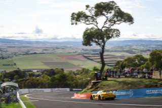 #999	Mercedes-AMG Team GruppeM Racing	Mercedes-AMG GT3	Maxi Buhk	Raffaele Marciello	Maxi Götz	Mercedes-AMG GT3	Bathurst 12 Hour 2019 | Blanpain GT Series