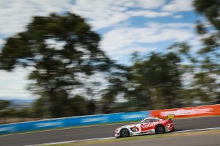 #888	Mercedes-AMG Team Vodafone	Mercedes-AMG GT3	Craig Lowndes	Jamie Whincup	Shane van Gisbergen	Mercedes-AMG GT3	Bathurst 12 Hour 2019 | Blanpain GT Series
