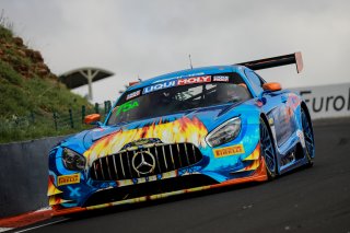 #75	SunEnergy1 Racing	Mercedes-AMG GT3	Kenny Habul*	Dominik Baumann	Thomas Jaeger	Mercedes-AMG GT3	Bathurst 12 Hour 2019 | Blanpain GT Series
