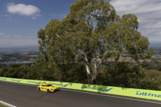 #999	Mercedes-AMG Team GruppeM Racing	Mercedes-AMG GT3	Maxi Buhk	Raffaele Marciello	Maxi Götz	Mercedes-AMG GT3	Bathurst 12 Hour 2019 | Blanpain GT Series