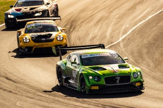 #7	Bentley Team M-Sport	Bentley Continental GT3	Jules Gounon	Jordan Pepper	Maxime Soulet	Bathurst 12 Hour 2020 | Daniel Kalisz