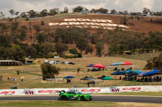 #8	Bentley Team M-Sport	Bentley Continental GT3	Alex Buncombe	Seb Morris	Oliver Jarvis	Bathurst 12 Hour 2020 | Daniel Kalisz
