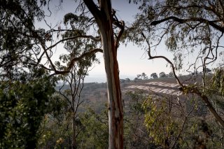 Bathurst 12 Hour 2020 | Kevin Pecks, Vier Communication