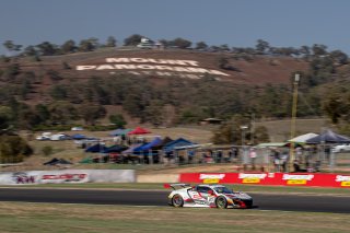 #30	Team Honda Racing	Acura/Honda NSX GT3	Dane Cameron	Renger van Der Zande	Mario Farnbacher Bathurst 12 Hour 2020 | Blanpain GT Series