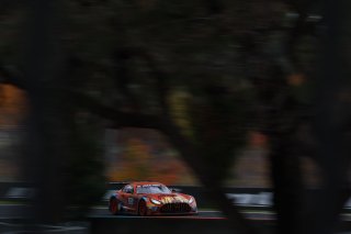 75	SunEnergy1 Racing	Mercedes-AMG GT3	Luca Stolz	Jules Gounon	Kenny Habul	Martin Konrad | Bathurst 12 Hour