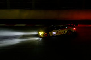 32	Team WRT		BMW M4 GT3	Sheldon van der Linde		Dries Vanthoor		Charles Weerts				 | Jeff Latham / Kyalami 9 Hour