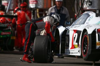 #74 ISR (CZE) AUDI R8 LMS GT3 CREW | OLIVIER BEROUD / VISION SPORT AGENCY