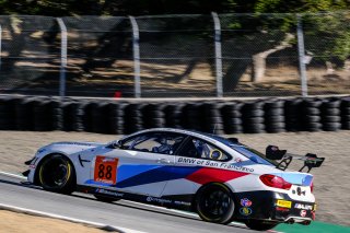 #88 Stephen Cameron Racing USA BMW M4 GT4 GT4 Gregory Liefooghe USA Henry Schmitt USA Sean Quinlan USA, Free Practice
 | SRO / Dirk Bogaerts Photography