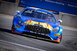 #75 Sun Energy1 Racing**** USA Mercedes-AMG GT3 GT3 Pro-Am Mikael Grenier CAN Kenny Habul USA Luca Stolz DEU IGTC, Qualifying
 | SRO / Dirk Bogaerts Photography