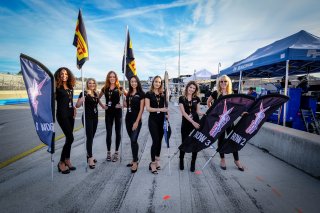 Gridwalk, Race
 | SRO / Dirk Bogaerts Photography