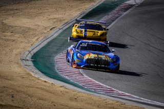 #75 Sun Energy1 Racing USA Mercedes-AMG GT3 GT3 Pro-Am Mikael Grenier CAN Kenny Habul USA Luca Stolz DEU IGTC, Race
 | SRO / Dirk Bogaerts Photography