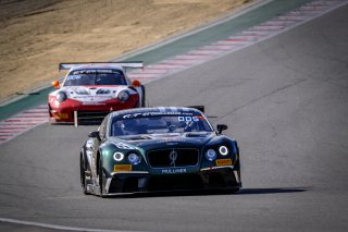 #9 K-Pax Racing USA Bentley Continental GT3 GT3 Overall Bryan Sellers USA Rodrigo Baptista BRA Alvaro Parente PRT IGTC, Race
 | SRO / Dirk Bogaerts Photography