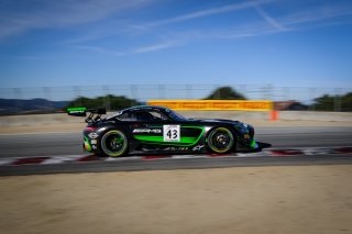 #43 Mercedes-AMG Team Strakka Racing GBR Mercedes-AMG GT3 GT3 Overall Raffaele Marciello ITA Lewis Williamson GBR Maxi Goetz DEU IGTC, Race
 | SRO / Dirk Bogaerts Photography