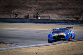 #75 Sun Energy1 Racing USA Mercedes-AMG GT3 GT3 Pro-Am Mikael Grenier CAN Kenny Habul USA Luca Stolz DEU IGTC, Race
 | SRO / Dirk Bogaerts Photography