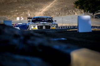 #8 Bentley Team M-Sport GBR Bentley Continental GT3 GT3 Overall Vincent Abril MCO Andy Soucek ESP Maxime Soulet BEL IGTC, Paid Sessions
 | SRO / Dirk Bogaerts Photography