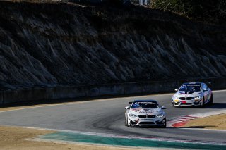 #113 RHC Jorgensen-Strom USA BMW M4 GT4 GT4 Jon Miller USA Daren Jorgensen USA Brett Strom USA, Paid Sessions
 | SRO / Dirk Bogaerts Photography
