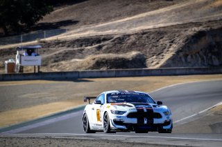 #10 PF Racing USA Ford Mustang GT4 GT4 Jade Buford USA Scott Maxwell USA James Pesek USA, Paid Sessions
 | SRO / Dirk Bogaerts Photography