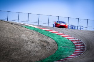 #911 Wright Motorsport USA Porsche 911 GT3 R GT3 Overall Frederic Makowiecki FRA Romain Dumas FRA Dirk Werner DEU IGTC, Paid Sessions
 | SRO / Dirk Bogaerts Photography