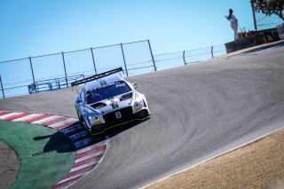 #8 Bentley Team M-Sport GBR Bentley Continental GT3 GT3 Overall Vincent Abril MCO Andy Soucek ESP Maxime Soulet BEL IGTC, Paid Sessions
 | SRO / Dirk Bogaerts Photography