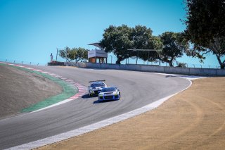 Paid Sessions
 | SRO / Dirk Bogaerts Photography