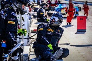 Paid Sessions
 | SRO / Dirk Bogaerts Photography