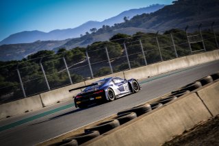 #17 Audi Sport Team WRT BEL Audi R8 LMS  GT3 Overall Sheldon van der Linde ZAF Alex Riberas ESP Stuart Leonard GBR IGTC, Paid Sessions
 | SRO / Dirk Bogaerts Photography