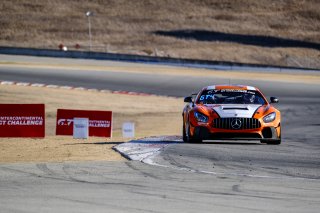 #65 Murillo Racing USA Mercedes-AMG GT4 GT4 Tim Probert USA Jeff Mosing USA Justin Piscitell USA, Paid Sessions
 | SRO / Dirk Bogaerts Photography