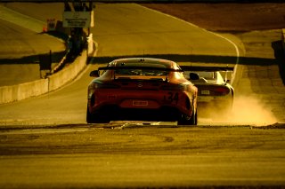 Paid Sessions
 | SRO / Dirk Bogaerts Photography