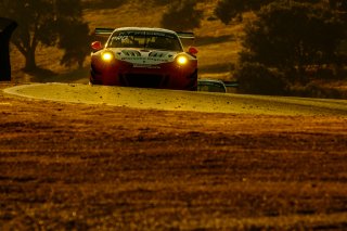 #911 Wright Motorsport USA Porsche 911 GT3 R GT3 Overall Frederic Makowiecki FRA Romain Dumas FRA Dirk Werner DEU IGTC, Paid Sessions
 | SRO / Dirk Bogaerts Photography