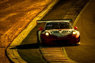 #911 Wright Motorsport USA Porsche 911 GT3 R GT3 Overall Frederic Makowiecki FRA Romain Dumas FRA Dirk Werner DEU IGTC, Paid Sessions
 | SRO / Dirk Bogaerts Photography