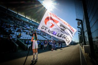 Gridwalk
 | SRO / Dirk Bogaerts Photography
