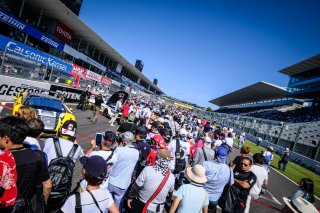 Gridwalk
 | SRO / Dirk Bogaerts Photography