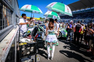 Gridwalk
 | SRO / Dirk Bogaerts Photography
