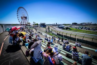 Gridwalk
 | SRO / Dirk Bogaerts Photography