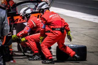Pitlane
 | SRO / Dirk Bogaerts Photography
