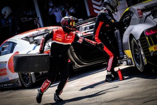 Pitlane
 | SRO / Dirk Bogaerts Photography