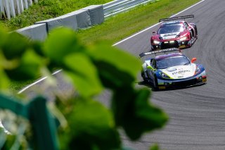 #37 Callaway Competition with BINGORACING DEU Corvette C7 GT3-R Pro-Am Cup Sinji Takei JPN Yuta Kamimura JPN Yuichi Mikasa JPN, Race
 | SRO / Dirk Bogaerts Photography