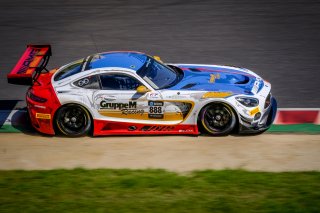 #888 Mercedes-AMG Team GruppeM Racing HKG Mercedes-AMG GT3 - Raffaele Marciello ITA Maro Engel DEU Tristan Vautier FRA, Race
 | SRO / Dirk Bogaerts Photography