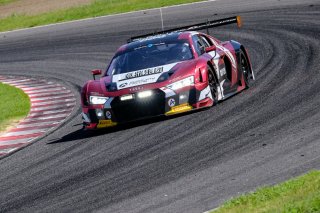#13 Absolute Racing CHN Audi R8 LMS Pro-Am Cup Sun Jingzu CHN Congfu Cheng CHN Adderly Fong HKG, Race
 | SRO / Dirk Bogaerts Photography