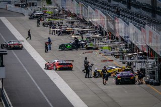 Paid Practice 2
 | SRO / Dirk Bogaerts Photography