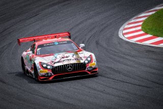 #00 Mercedes-AMG Team Good Smile  JPN Mercedes-AMG GT3 - Nobuteru Taniguchi JPN Tatsuya Kataoka JPN Kamui Kobayashi JPN, Paid Practice 2
 | SRO / Dirk Bogaerts Photography