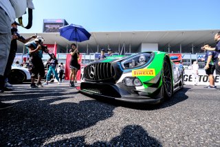 Gridwalk, Race
 | SRO / Dirk Bogaerts Photography