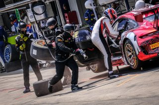 Pitlane, Race
 | SRO / Dirk Bogaerts Photography