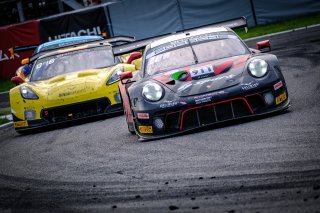 #911 EBM NZL Porsche 911 GT3 R  Sven M&uuml;ller DEU/Gold Romain Dumas FRA/Platinum Mathieu Jaminet FRA/Gold Pro IntGTC, Race
 | SRO / Dirk Bogaerts Photography