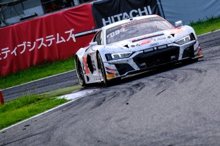 #125 Audi Sport Team Absolute Racing CHN Audi R8 LMS GT3 2019 Markus Winkelhock DEU/Platinum Christopher Haase DEU/Platinum Christopher Mies DEU/Platinum Pro IntGTC, Race
 | SRO / Dirk Bogaerts Photography