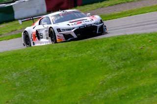 #125 Audi Sport Team Absolute Racing CHN Audi R8 LMS GT3 2019 Markus Winkelhock DEU/Platinum Christopher Haase DEU/Platinum Christopher Mies DEU/Platinum Pro IntGTC, Free Practice 3
 | SRO / Dirk Bogaerts Photography