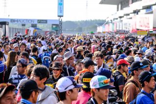 Pitwalk
 | SRO / Dirk Bogaerts Photography