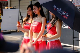 Pitwalk
 | SRO / Dirk Bogaerts Photography