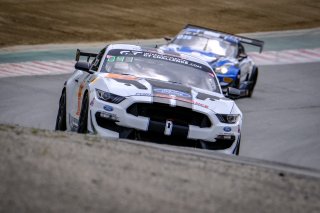 #41 PF Racing USA Ford Mustang GT4 Jade Buford USA Chad McCumbee USA James Pesek USA GT4, Wednesday Sessions
 | SRO / Dirk Bogaerts Photography